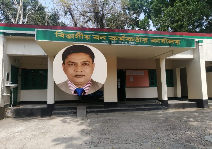 লামায় জোত পারমিটের আড়ালে কোটি টাকার কাঠ পাচারের অভিযোগ